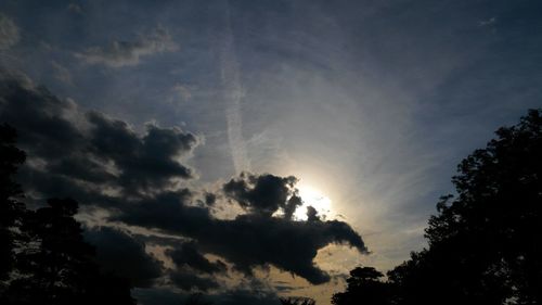 Low angle view of trees against cloudy sky