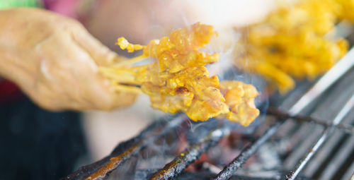 Close-up of hand holding yellow flowering plant