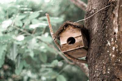 Low angle view of birdhouse on tree