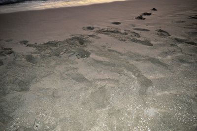 Scenic view of beach