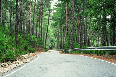 Road amidst trees in forest