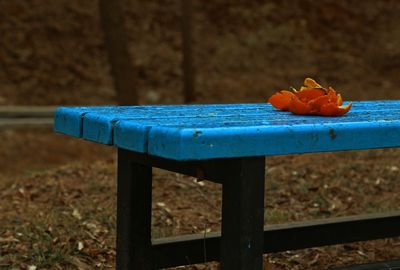 Close-up of food on table
