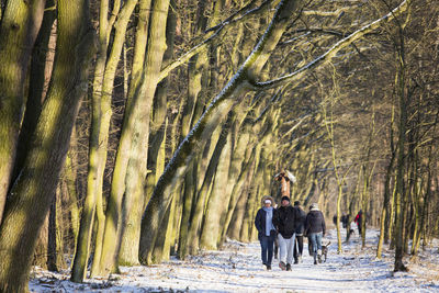 Friends standing on snow covered tree