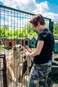 Dog at the shelter. animal shelter volunteer takes care of dogs. 