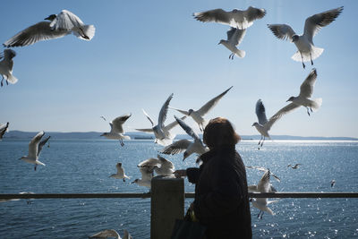 Seagulls flying over sea against sky