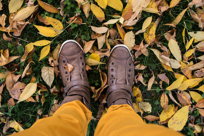 Low section of person standing on fallen autumn leaves