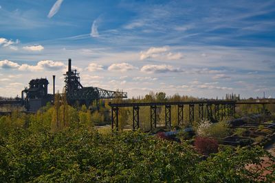 Plants growing outside building against sky