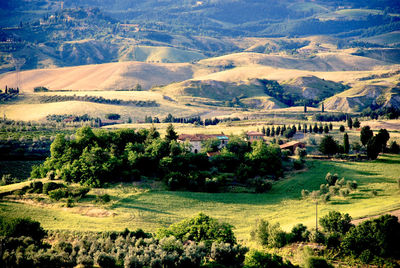 High angle view of trees on landscape