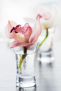 Close-up of pink flower vase on table