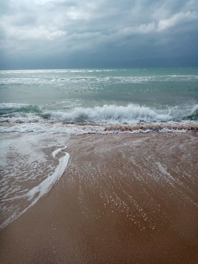 SCENIC VIEW OF SEA SHORE AGAINST SKY