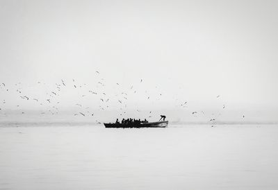 Silhouette birds flying over sea against clear sky