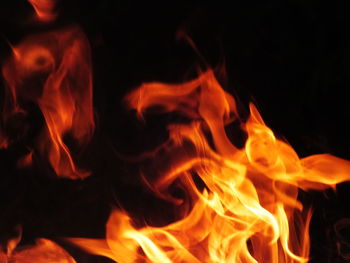 Close-up of bonfire at night