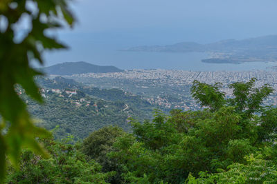 High angle view of plants and mountains against sky