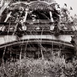 Built structure with trees in background