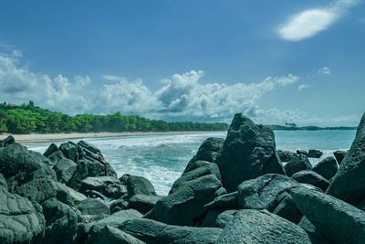 Africa beautiful scenery in axim ghana. untouched beach and wildlife