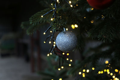 Close-up of illuminated christmas tree