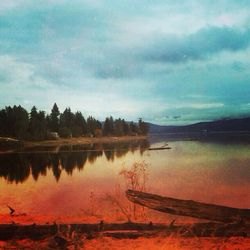 Reflection of trees in calm lake