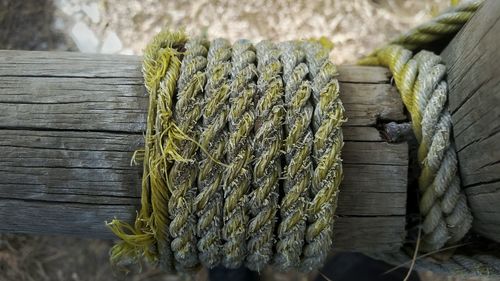Close-up of wood
