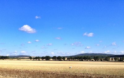 Scenic view of field against blue sky