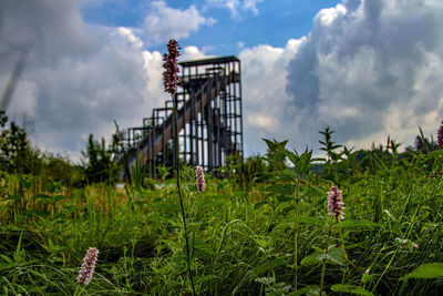 Low angle view of traditional windmill on field against sky