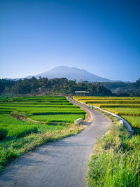 Road amidst field against clear blue sky