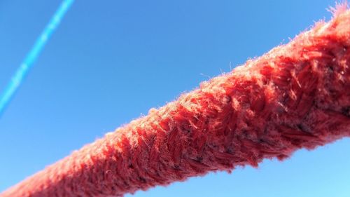 Close-up of red against clear blue sky