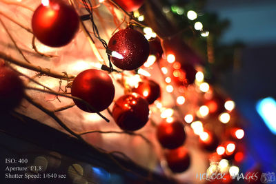 Low angle view of christmas tree