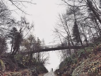 Low angle view of trees against sky
