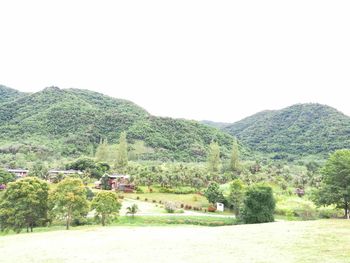 Scenic view of landscape against clear sky