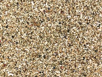 Full frame shot of sand