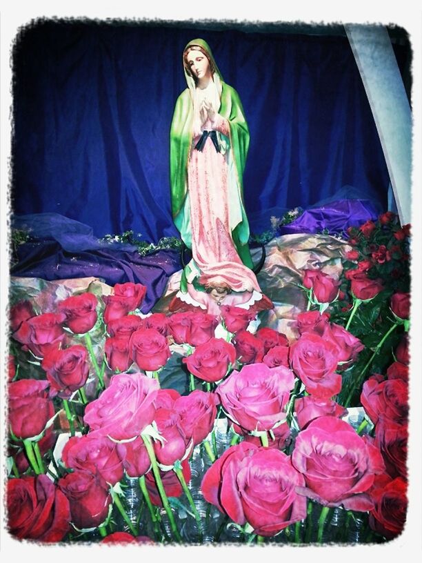 12/12/12 Dia de la virgencita de Guadalupe