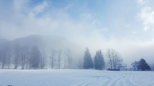 Trees on snow covered landscape against sky