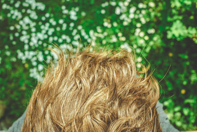 Close-up of person on grass against trees