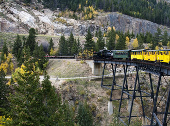 Train on bridge by pine trees at rocky mountains