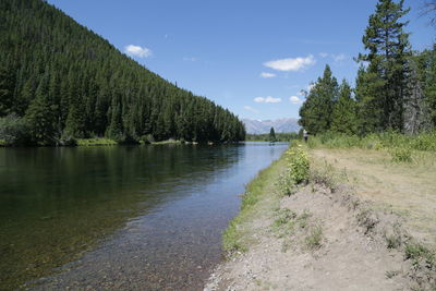 Scenic view of lake in forest against sky