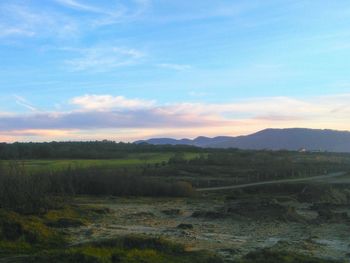 Scenic view of landscape against sky