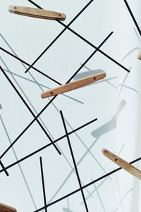 Low angle view of a bird