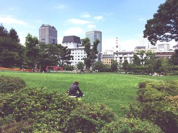 Trees in park