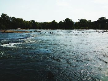 Reflection of trees in water