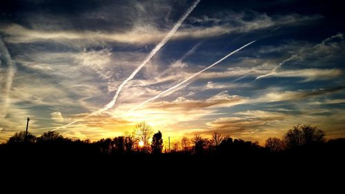 Low angle view of silhouette trees against sky