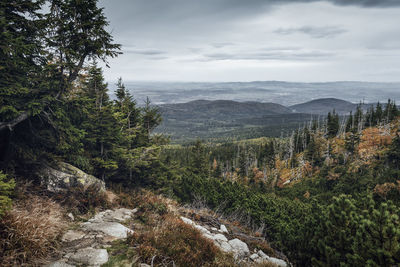 Scenic view of mountains during autumn at karkonosze national park