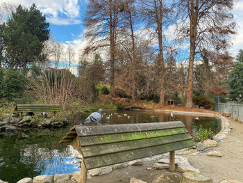Empty bench in park by lake against sky