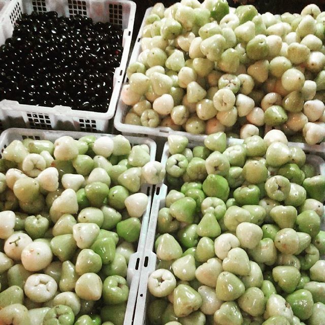 food and drink, food, healthy eating, freshness, large group of objects, abundance, fruit, indoors, for sale, retail, still life, market, choice, market stall, variation, high angle view, organic, grape, green color, container