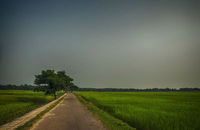 Road amidst field against sky