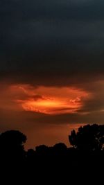 Silhouette trees against sky during sunset