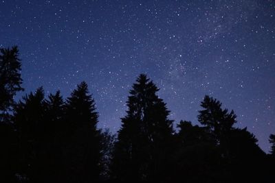 Low angle view of silhouette trees against sky at night