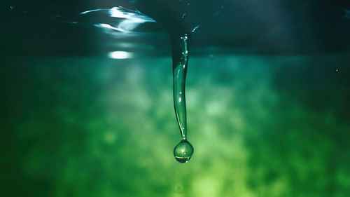 Close-up of water drop on leaf