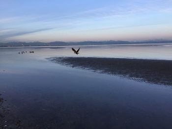 Scenic view of sea against sky at sunset