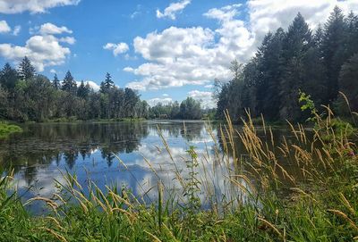 Scenic view of lake against sky