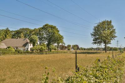 Scenic view of agricultural field